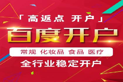 成功SEM代理案例：精准投放的策略